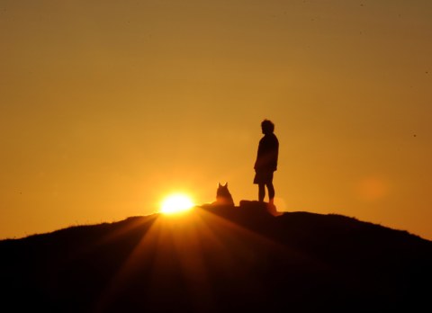 Image Not Found On Media Library