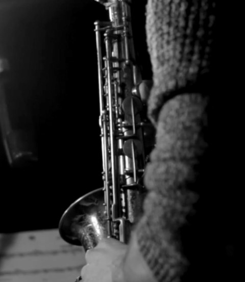 Image Not Found On Media Library