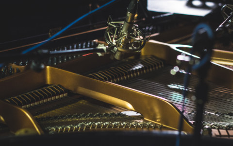 Image Not Found On Media Library