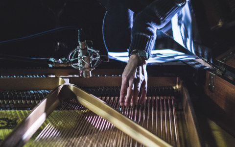 Image Not Found On Media Library